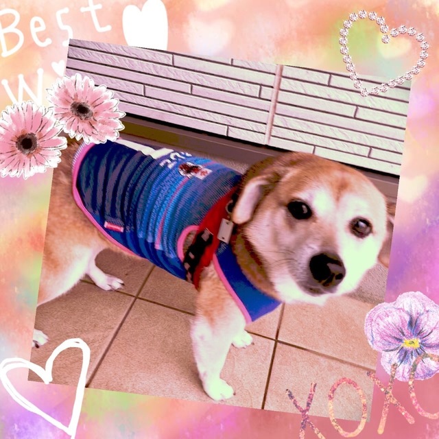 0AA684BF-5993-4FFC-8D9B-72C82A77C931.jpeg