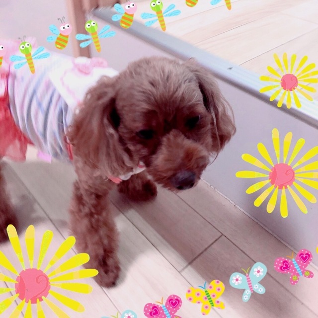 1383D8F6-FEC3-4D80-A9BC-BAF1865DB3CB.jpeg