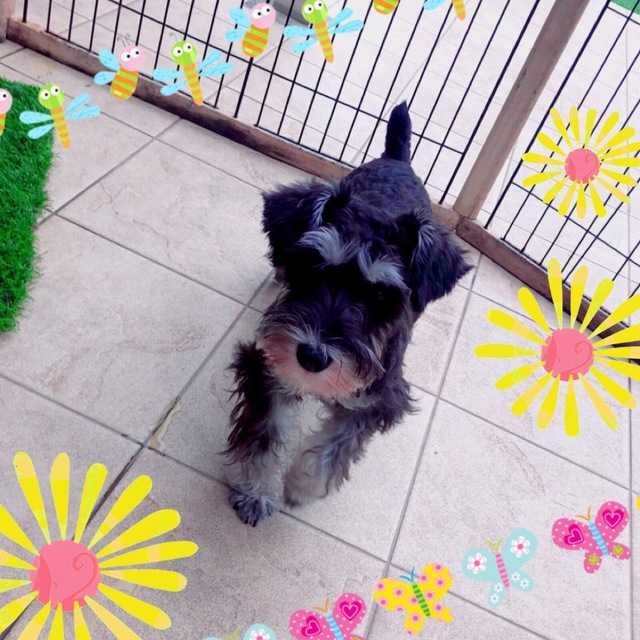 39AB8A2A-E146-4915-9473-B9C722479858.jpeg