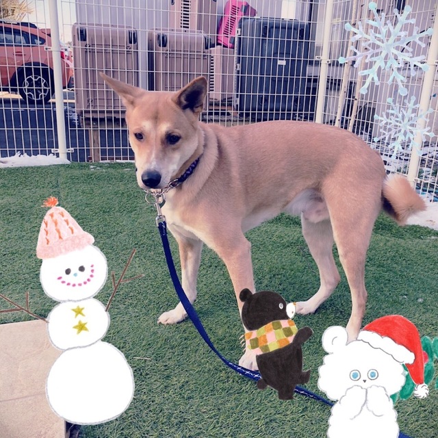 D426A0D3-AF58-4932-A551-43A201F85FCD.jpeg