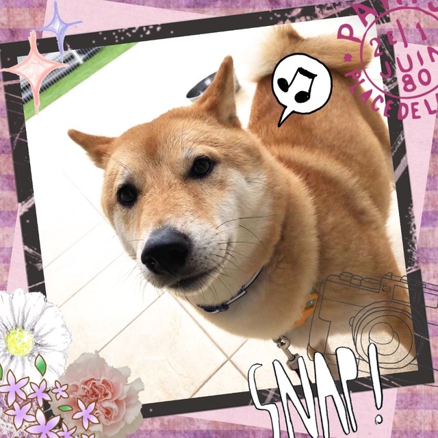 07B4932B-A731-4367-A1D3-B2C775CA3A05.jpeg