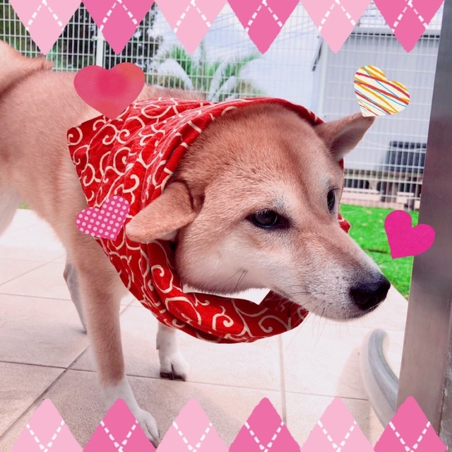 17D13813-B819-474D-9273-62B825ED8650.jpeg