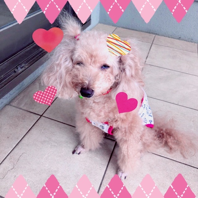 3A7117A7-9104-44F0-87B4-0C2FAE7AD422.jpeg