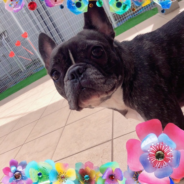 3B482A40-BAEC-4565-B8D7-DEEE99B62EC4.jpeg