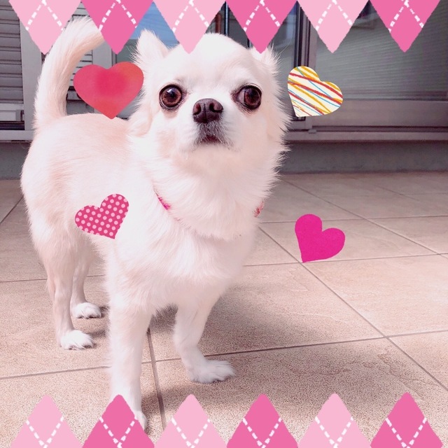 757AE9DE-8317-4677-9A1B-3551DE3CB4F6.jpeg