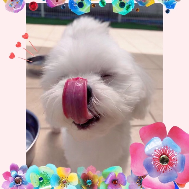 80A01010-A1A6-4141-920F-4D85BF711953.jpeg