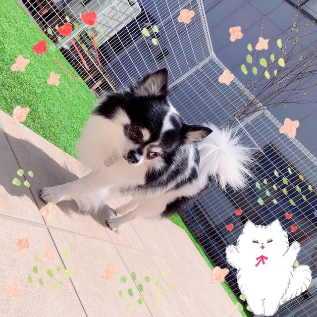 A8867D40-59BB-4F66-A288-2FFE4515B006.jpeg