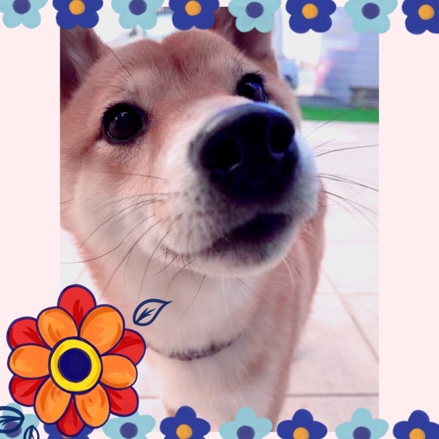 FC4DB04C-A359-4629-AB88-C9034A7303AA.jpeg