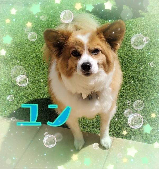 yunn.jpg